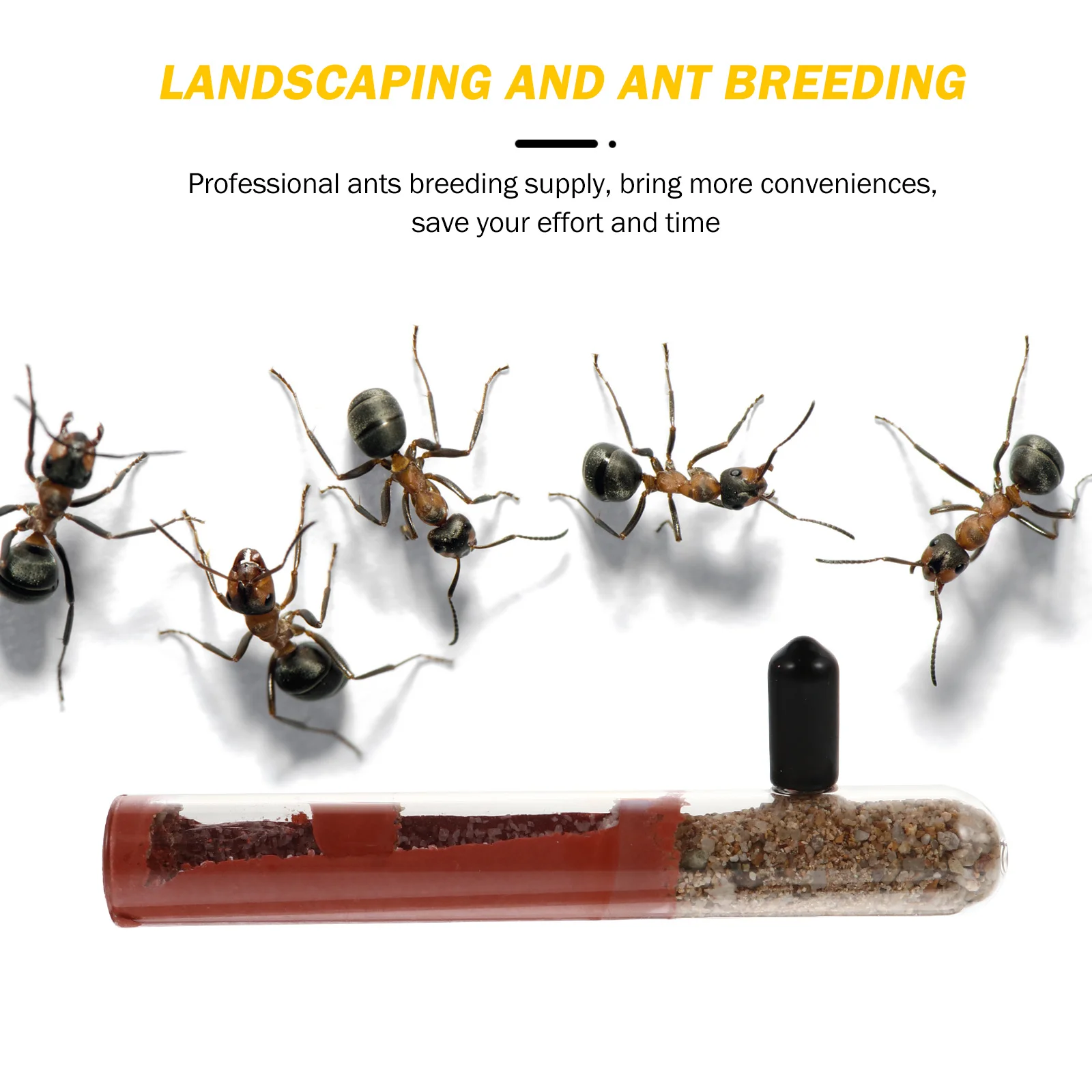 

Bamboo Joint Nest Test Tube Transparent Glass For Breeding Ant Watching Container Small Tubes With Caps Indoor Ant