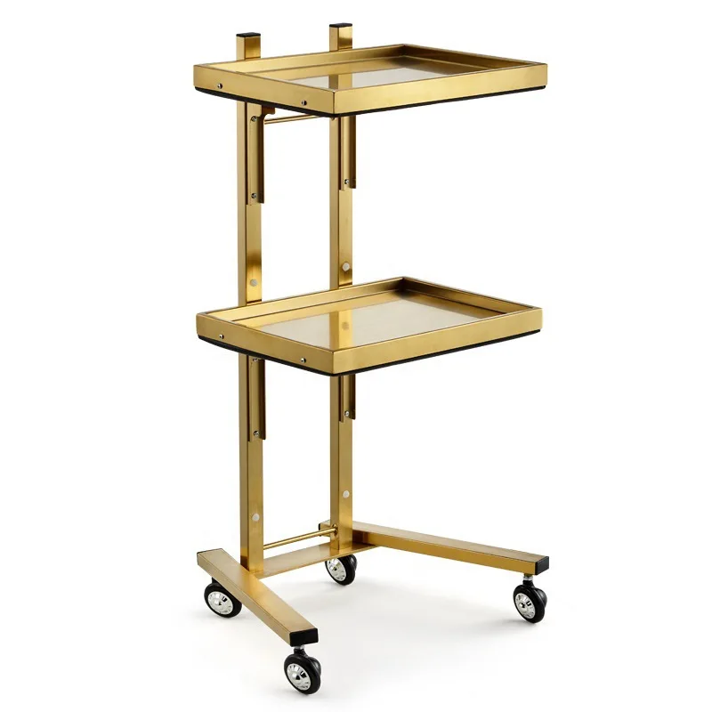 Modern Salon Storage Rack Hairdresser Trolley Stainless Steel 360 Degree Rotation 2 Layer Shelf Universal Wheels Home Office