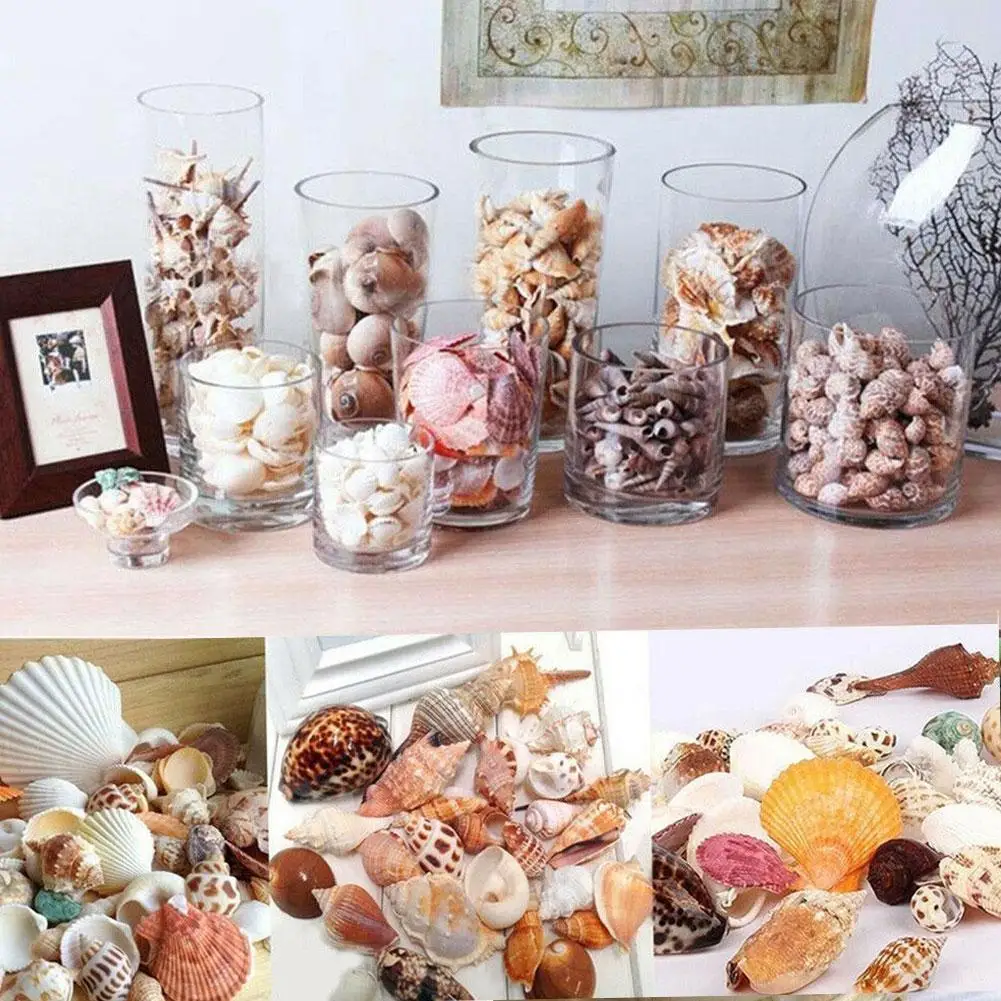 100 gr/beutel Gemischte Meer Strand Muscheln Handwerk Muscheln Mini Natürliche Muschel Mais Schraube DIY Aquarium Landschaft Dekor Foto Requisiten – Detail 11