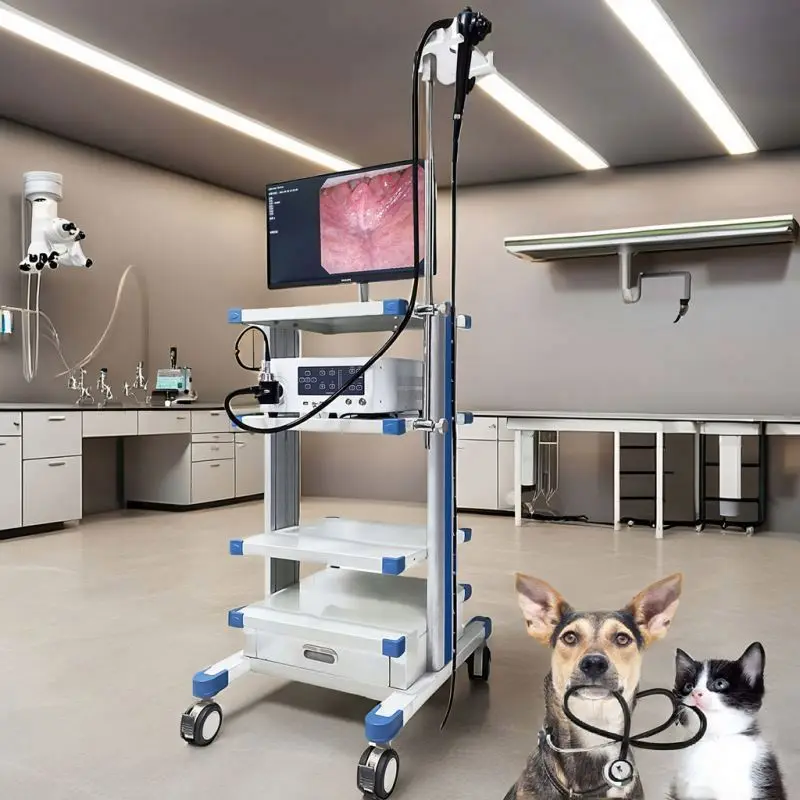 Amain Portable 8mm Veterinary Video Endoscope, Flexible Gastroscope Channel for Dogs/Cats, Reusable Forceps, Diagnostic S