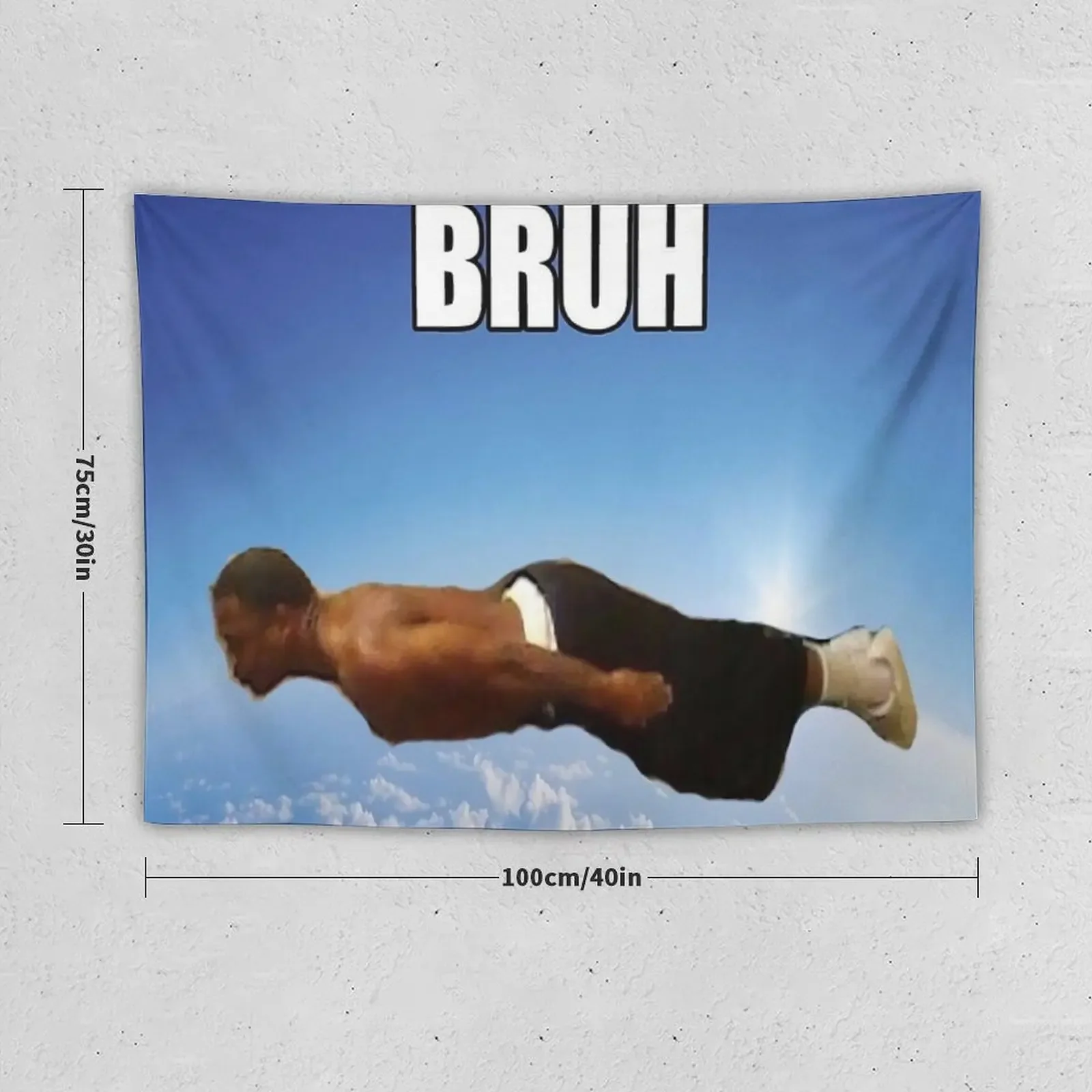 Bruh Flying Meme Tapestry Decorative Wall Room Ornaments Wall Decor Tapestry