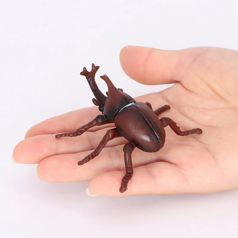 Static Simulation Insect Animal Model Rhinoceros Beetle Insects Children's Cognitive Potted Plant Ornaments Toys