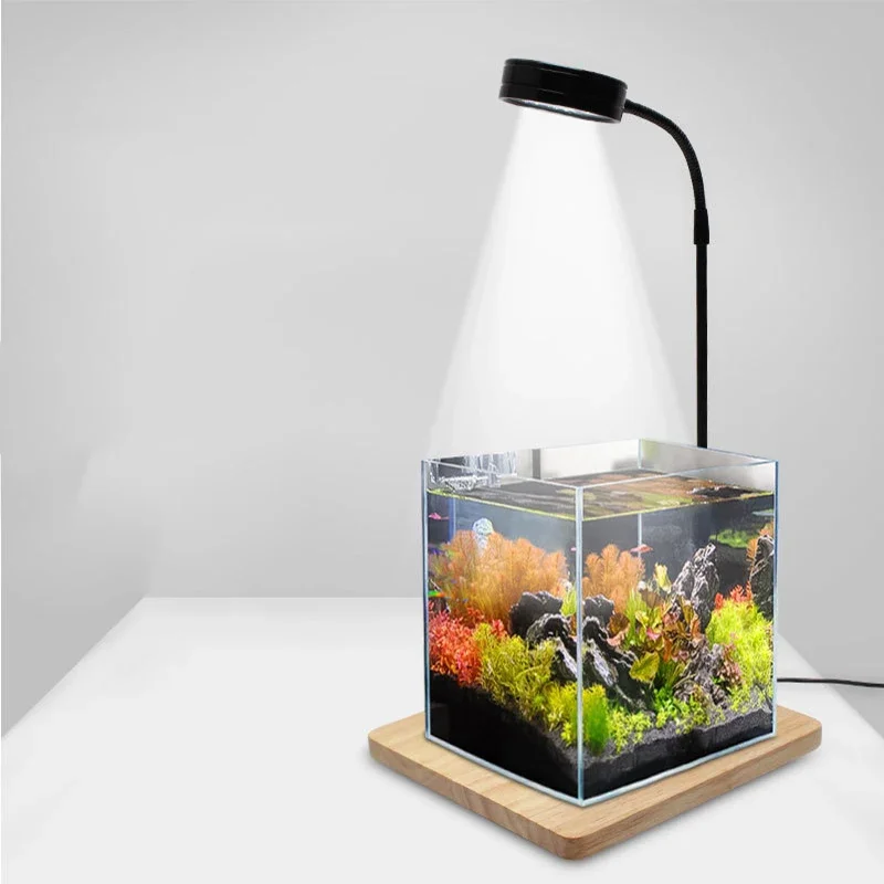 Imagem -02 - Full Spectrum Led Light com Placa de Bambu Aquário Nano Tanque Betta Vasos de Plantas Suculenta Paisagem em Miniatura