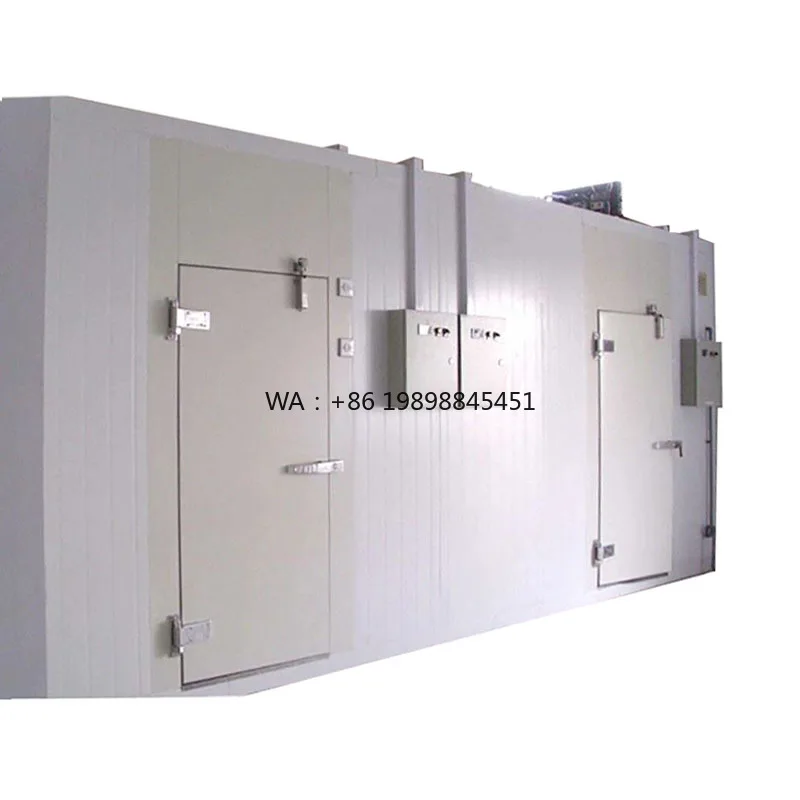 Saving Cold Storage Cabinet for Farm Harvest Product Fresh Keeping Foam Insulation Chest Deep Freezer Energy