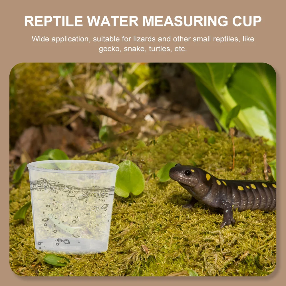 

30pcs Feeding Cups 20ml Capacity for Reptile Practical Tool Scale Gecko Snake Turtles Pet Supplies Measuring Bowl
