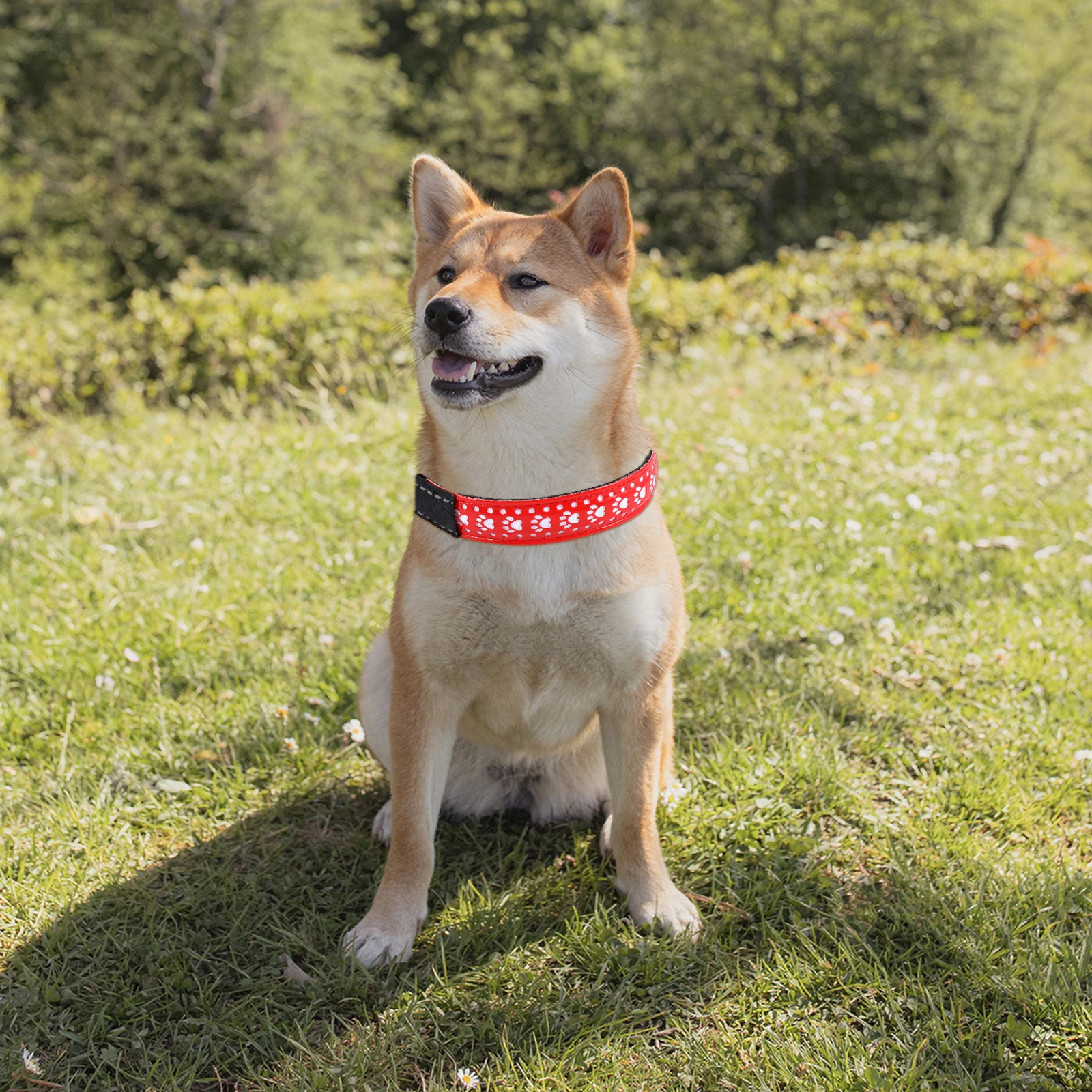 

Glow Adjustable LED Light Modes Flash Collar Dog Collar Pet Necklace Small Puppy Collars Dog Harness