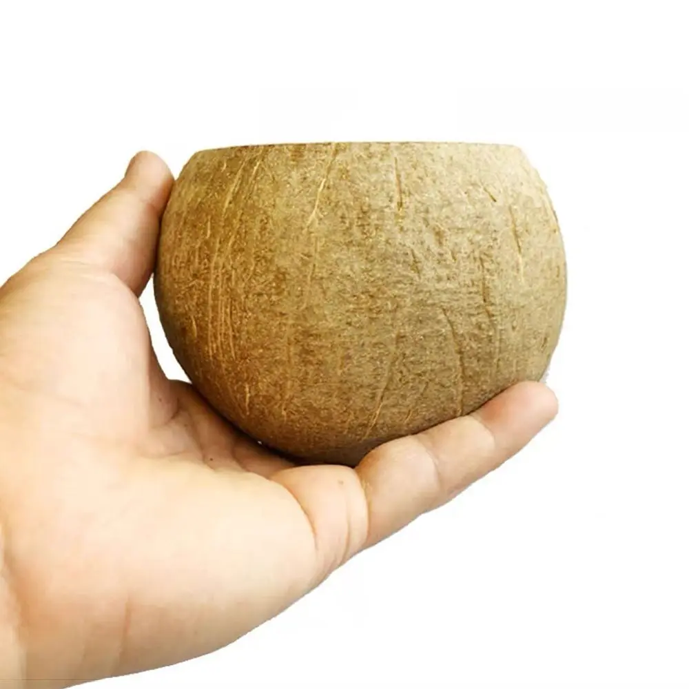 Home Crafts Making Natural Coconut Shell Bowls Wood Creative Candle Bowls Candle Dough Bowl
