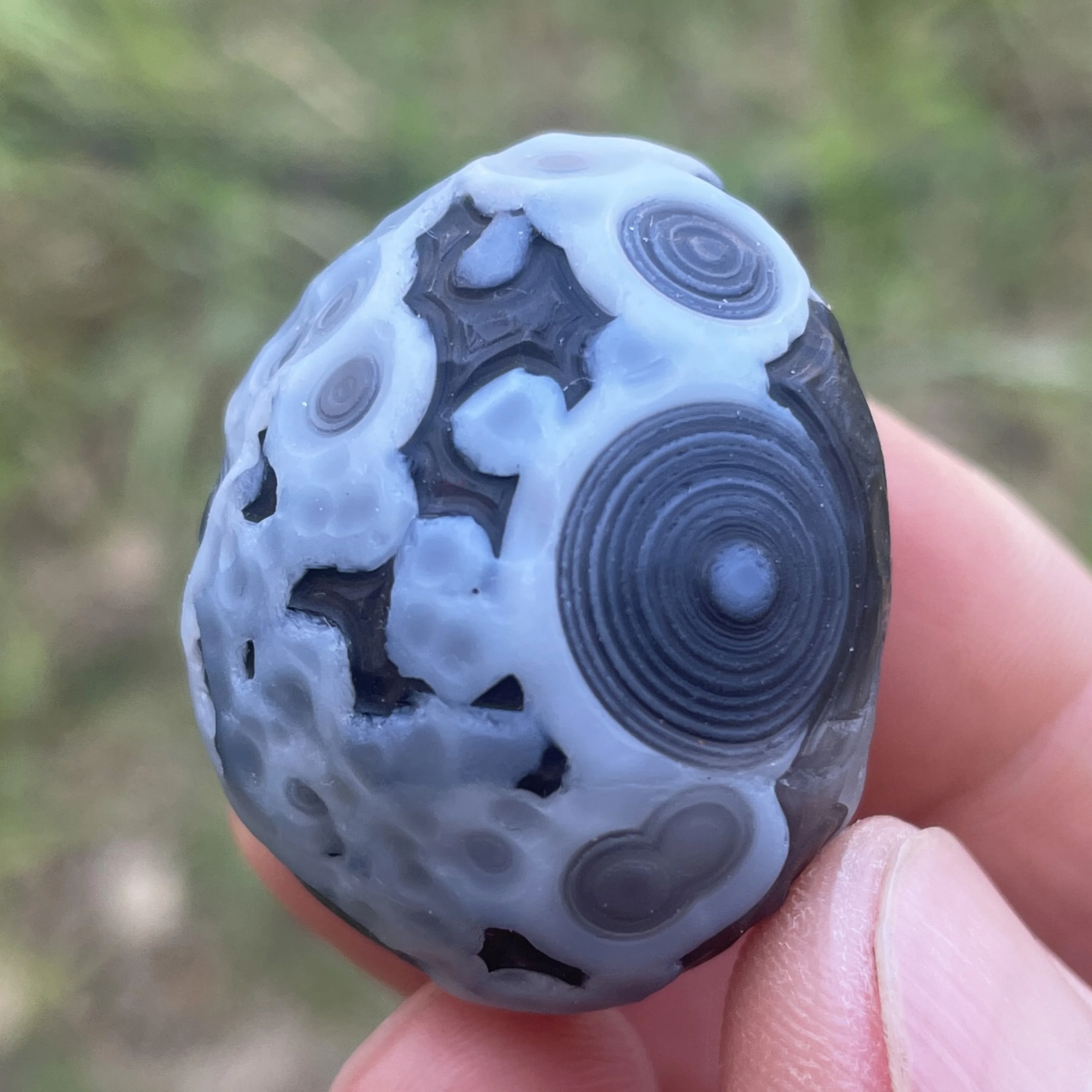 Sardonyx naturel Agate noire Alxa Gobi oeil roche minérale spécimen énergie cristal Chakra Reiki pierre de guérison décor de jardin DD1-8