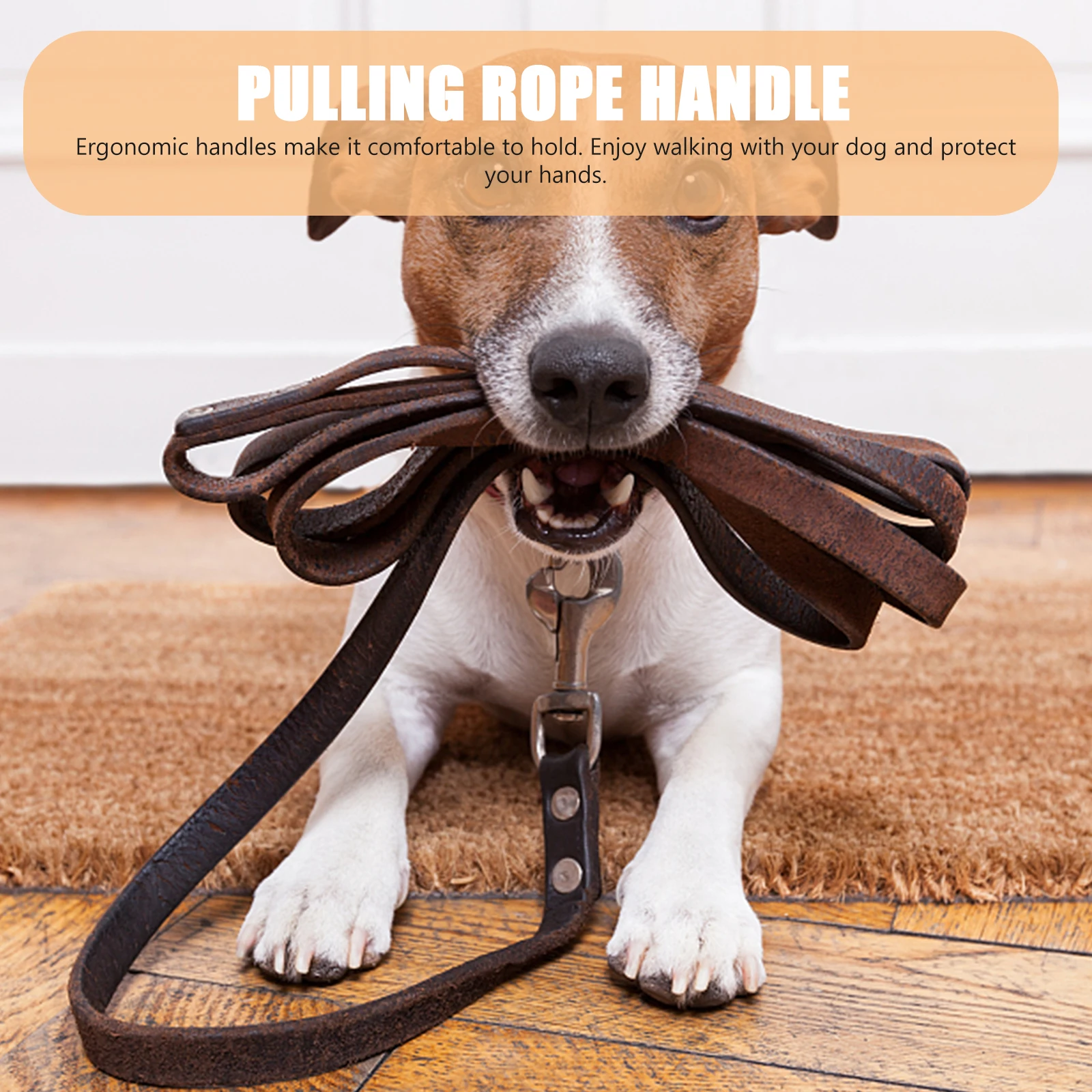 

6 Pcs Pet Handle Dog Leash Harness Pulling Rope Grip Large Traction Training Walking