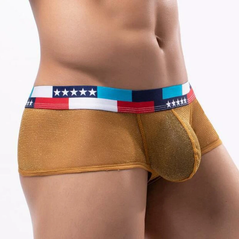Men 2023 New Mesh Soft Feeling Large Cock Pouch Boxer Underwear Low Waist Lingerie Panties
