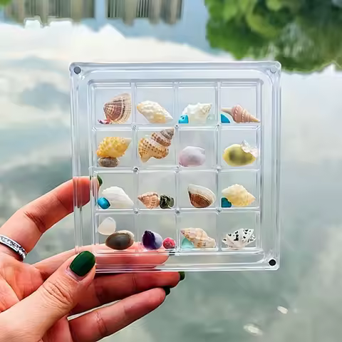 16-Grid Acrylic Seashell Display Box with Magnets Durable Starfishs Trinket Storage Case for Bead Nail Jewelry Chic Gife