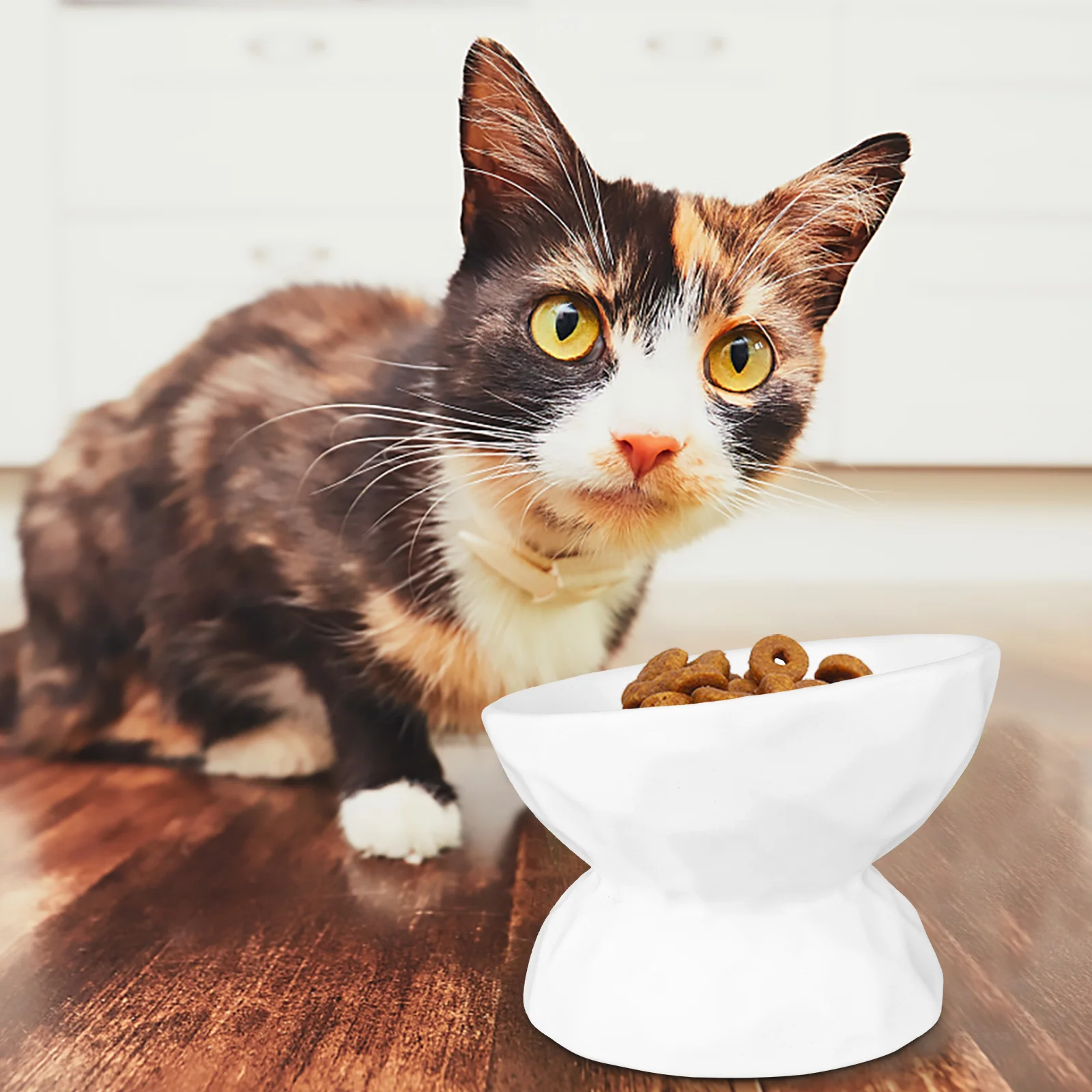 

Ceramic Elevated Neck Protection Cat Bowl Small Dogs Tilted Pet Feeder Stable Non Tipping Food Water Feeder Pet Drinking Bowl