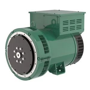 3 Phase 110V 220V 20kw 40kw 100kw 120kw Leroy Somer Alternator For Dieel Generator