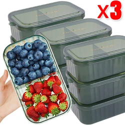 Refrigerator Storage Box With Lid Food Fresh-Keeping Organizer Boxes Fridge Fruit Vegetable Storage Containers Case For Kitchen