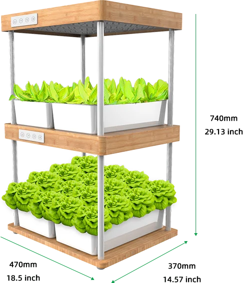 Smart Home Hydroponic Growing System with 2 Layer 32 Pods Modern Design Indoor Hydroponics Grow Light