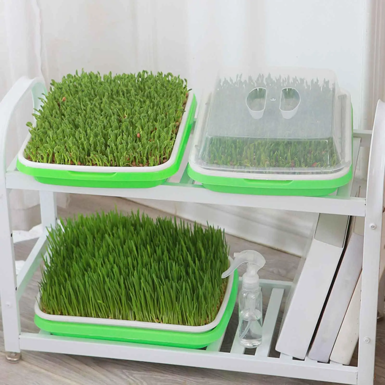 

Germination Tray Reusable Plant Tray Home Balcony Gardening Tools For Trimming Lab Indoors Bunny Garden Watering