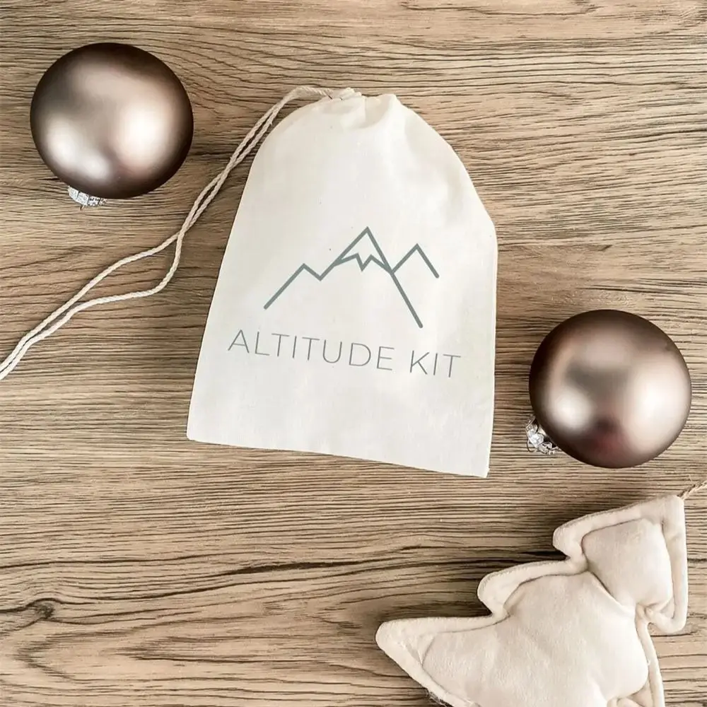 

25PCS Apres Ski Bag - Altitude Kit - Mountain Hangover Kit - Christmas Gift - Ski Mountain Favor Bags - Winter Sports Bag - Ski