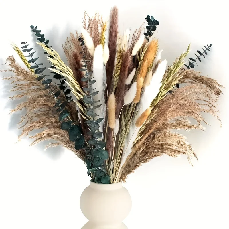 1 Beam-80 Stem PAMPAS Grass Dried Reed Flower Bouquet Bohemian Luxury Home，Wedding，Spring，Autumn Harvest，Halloween Decoration