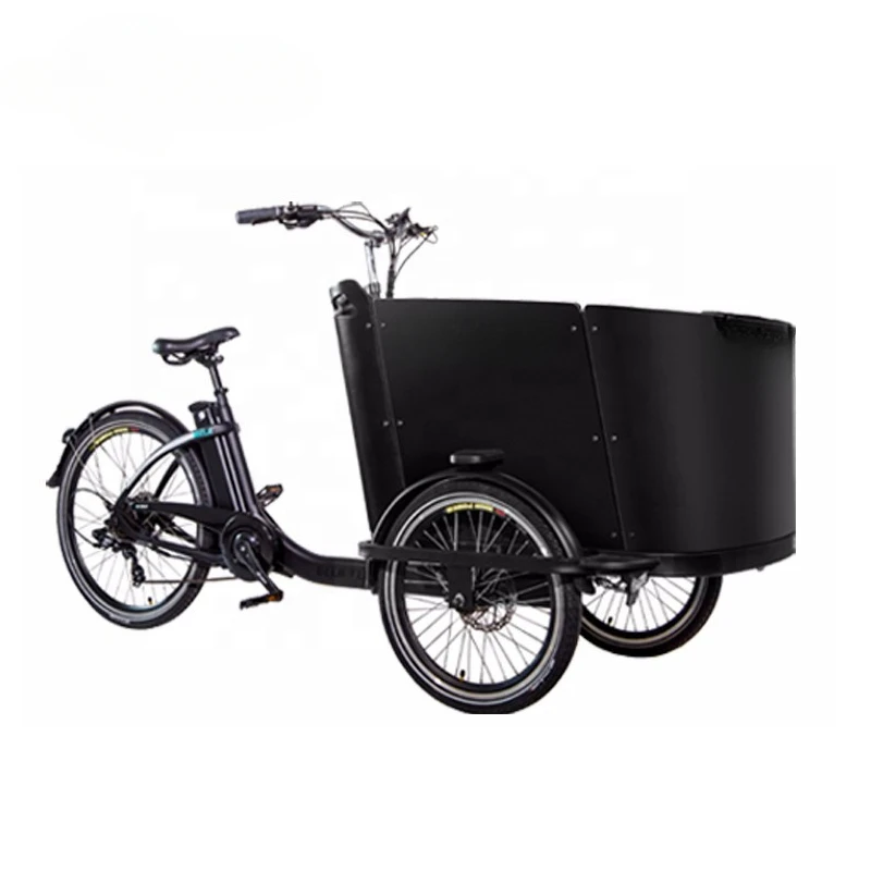 Popular Dutch Bike 250w Electric Cargo Bike For Kids Tricycle For Carry Children