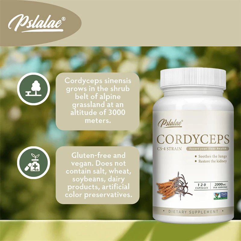 Cordyceps - Energy, Respiratory, Immune, Kidney Health Support