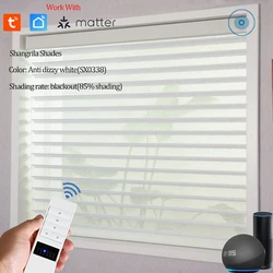 SmartMatters Smart ShangriLa Blinds Dual-layered Day and Night Zebra Shades for Livingroom Windows and Patio Doors, Custom Sizes