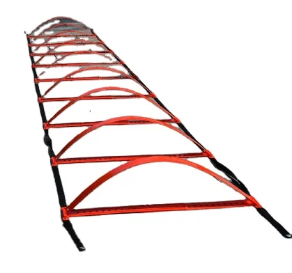 

Factory wholesale high quality soccer Versatile dual purpose soccer double agile ladder football training equipment speed ladder
