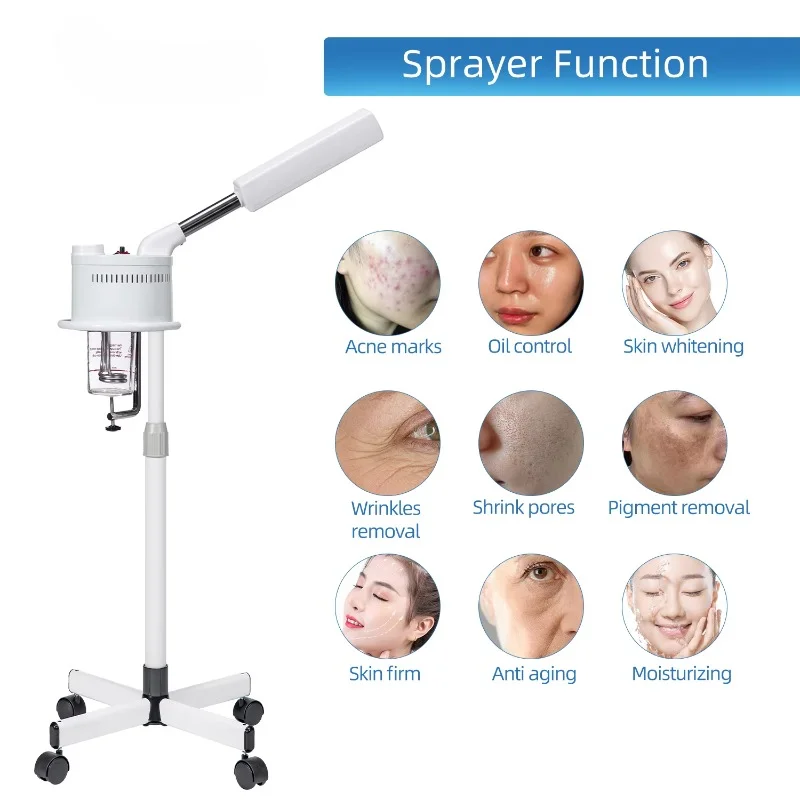 Portable Facial Mist Sprayer Hot Steamer nano oxygen facial spray machine For Face Care Machine In Salon