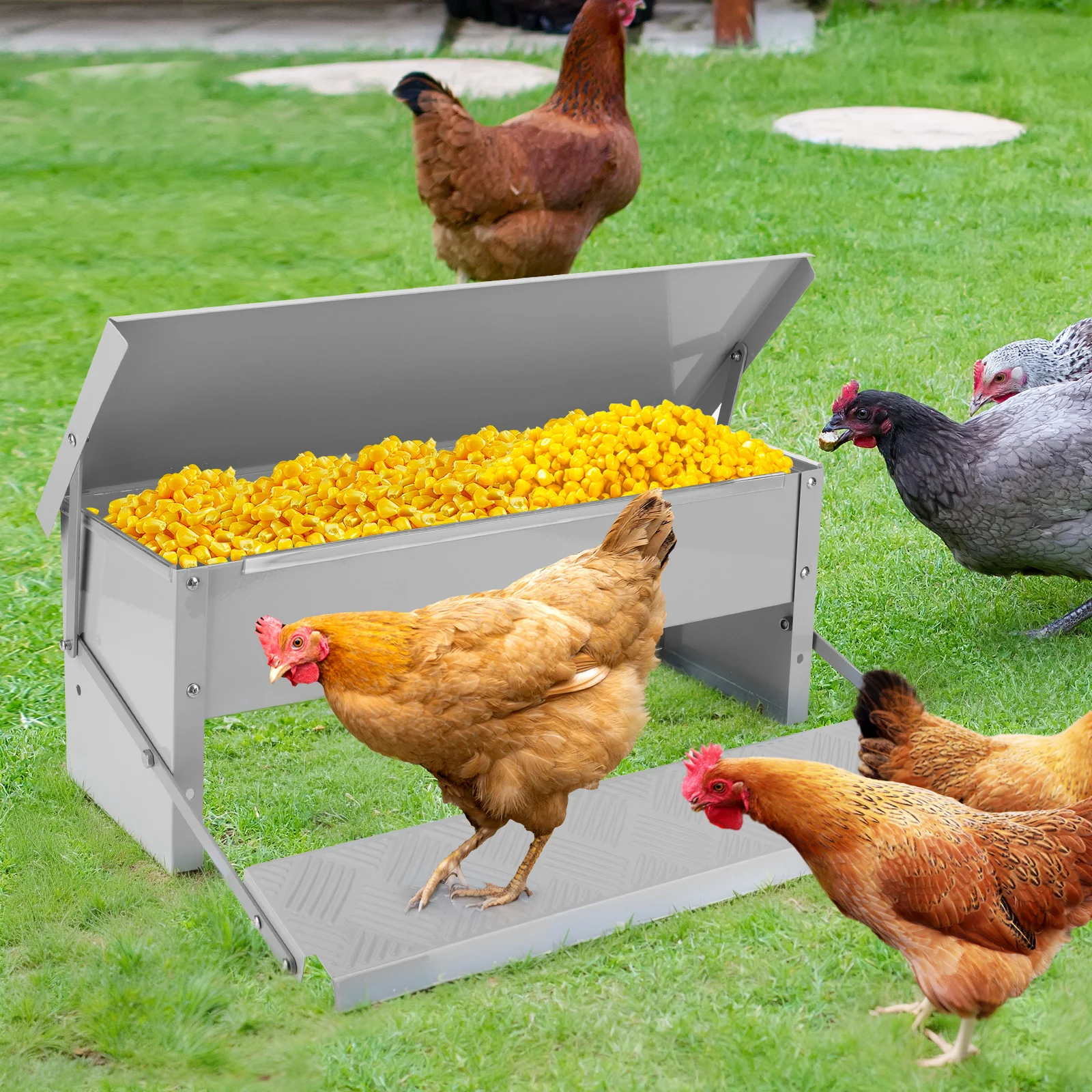 

Automatic Chicken Feeder Treadle Chicken Feeder Rat Proof Chicken Feeder Suitable for Chicken Bantams Poultry Pheasants Etc