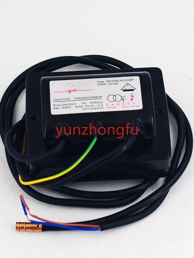 Accessories Ignition High Voltage Package BGY004-8/GS25P Ignition Transformer BGY002-8/CS30