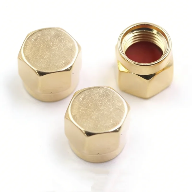 SMA Dust Cap with Chain Resistor RF coaxial Terminator Dust Cap Protective Cover Adapters SMA Male/Female Terminal Protective