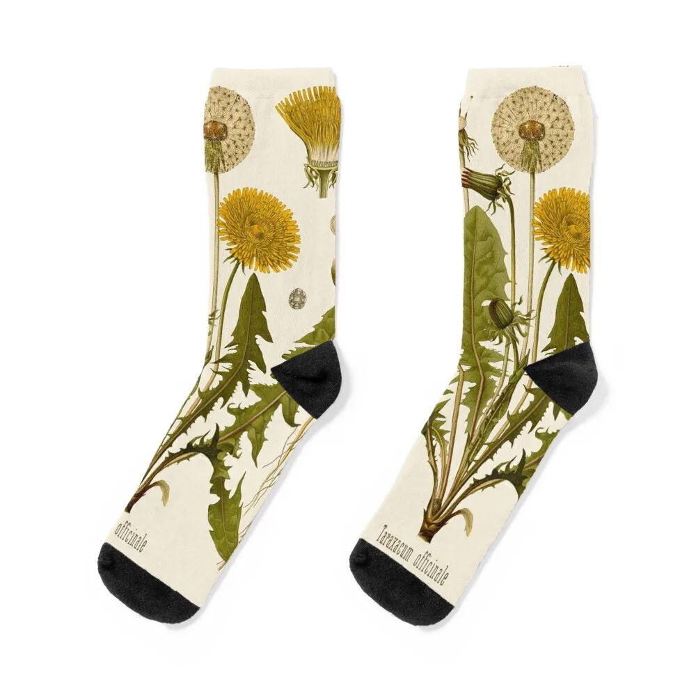 Dandelion Socks christmas gift Novelties Sports Men's Socks Women's