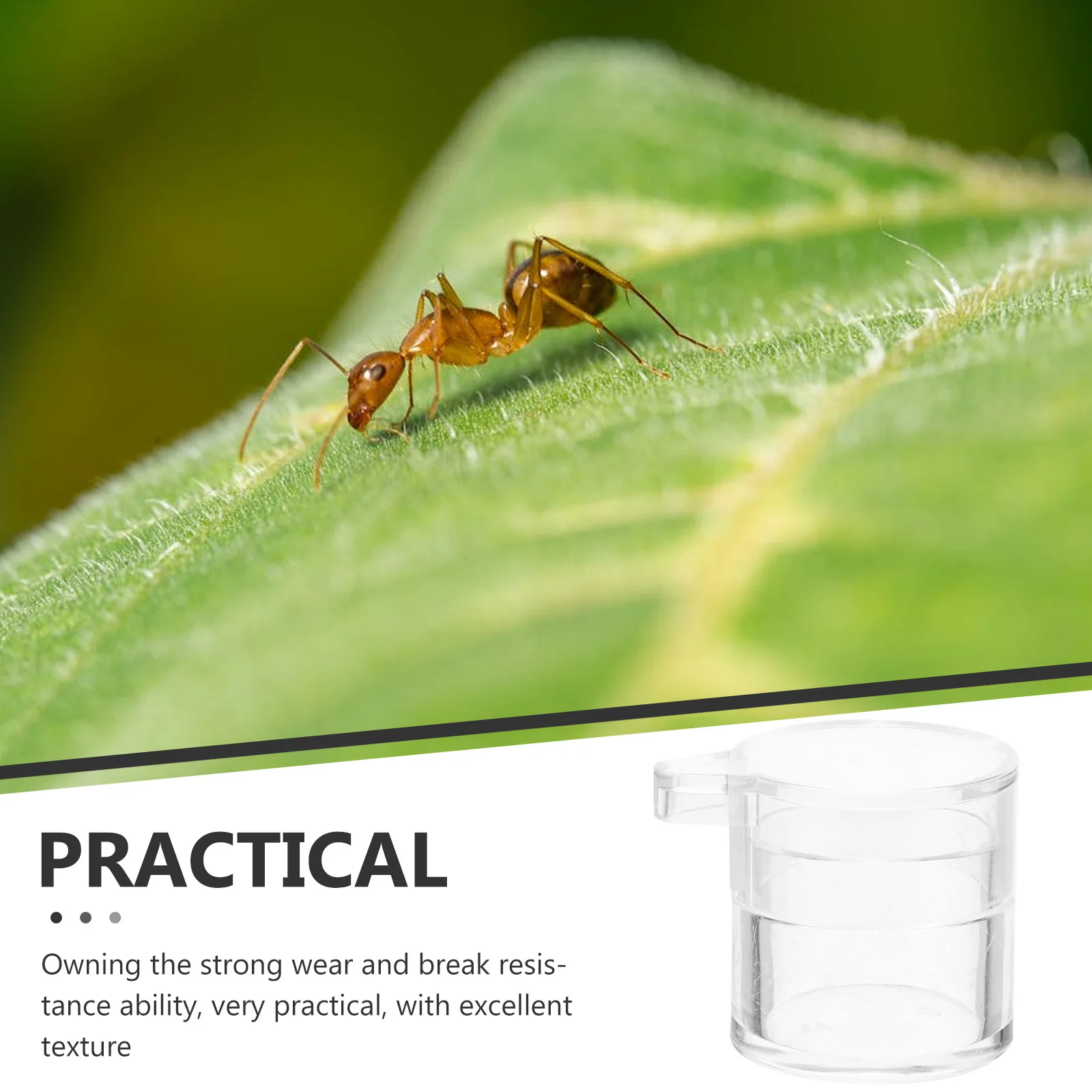 

Transparent Ants Water Feeder Resistant Water Bowl For Ant Farming Science Observation Ant Nest Feeding