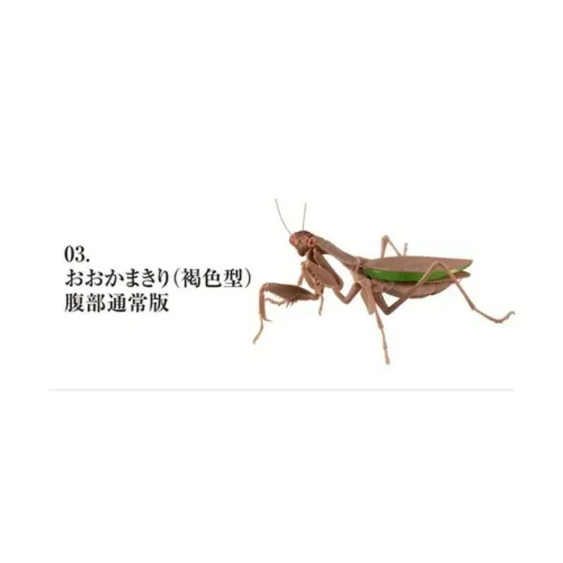 BANDAI Japan Gashapon Figure Anime Cute Biology Map Orchid Mantis Insect Model Kawaii Capsule Toys Figurine Assembly Model