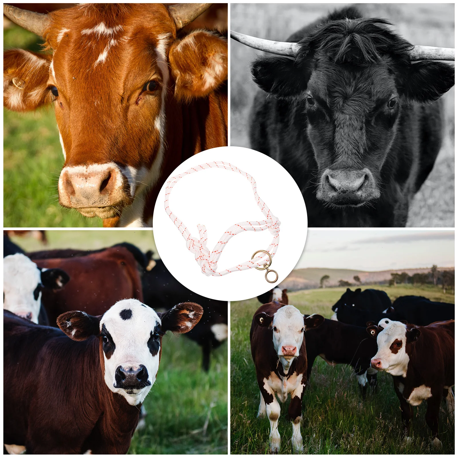 

Cattle Halter Durable Lightweight Portable Cow Rope Bridle Pet Supplies Bull Rope Calf Halter Bitless