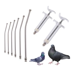 1Pc 10ml/20ml/50ml Parrot Feeding Syringe Parrot Bird Feeding Syringe with 6pcs Curved Gavage Tube Bird Feeding Medical Items