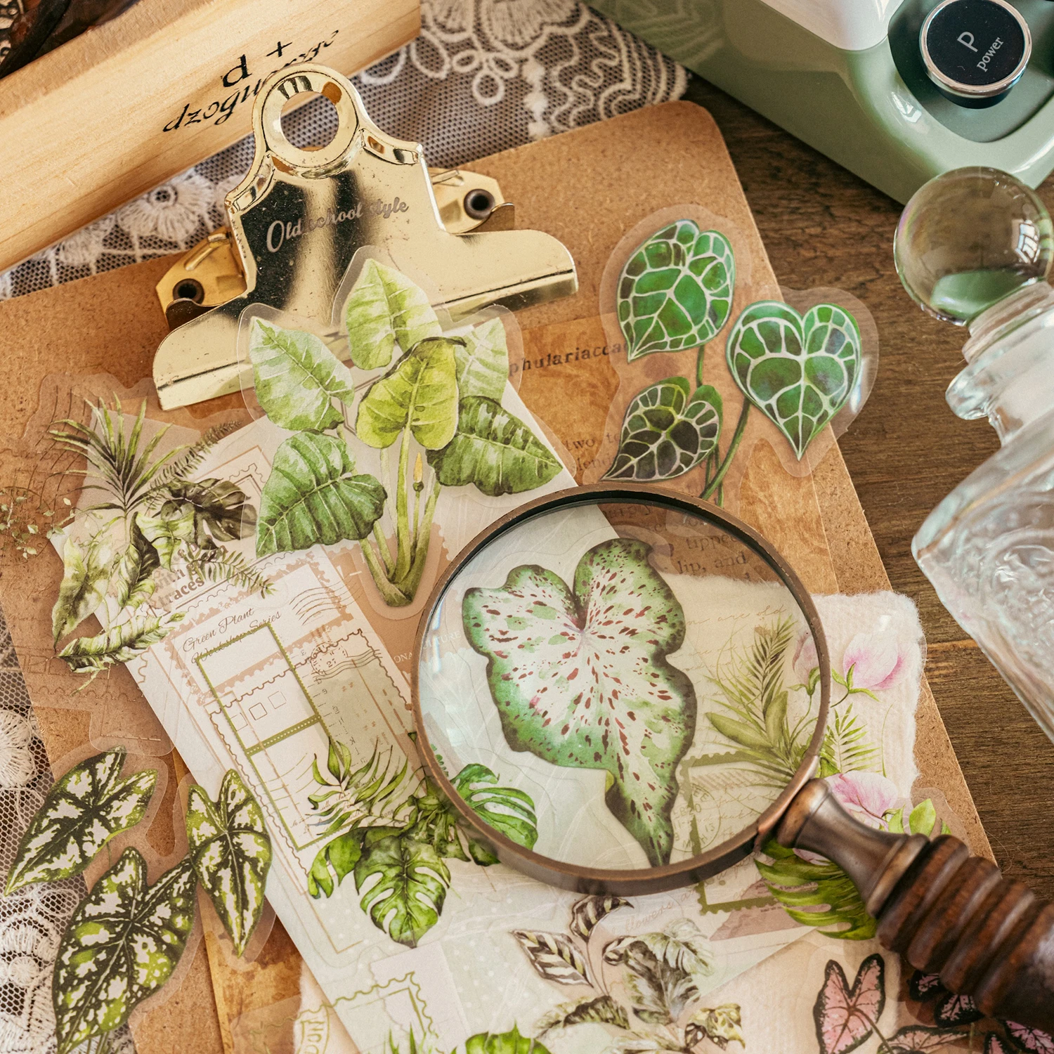 20 sztuk/partia Dekoracyjne naklejki PET do scrapbookingu Retro Rośliny Liście Kreatywne Naklejki DIY Guka Estetyczne Naklejki Papiernicze