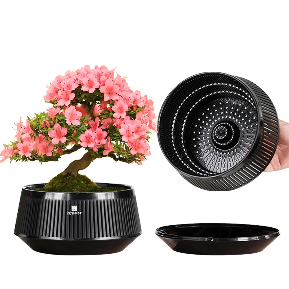 Meshpot Bonsai Pots…