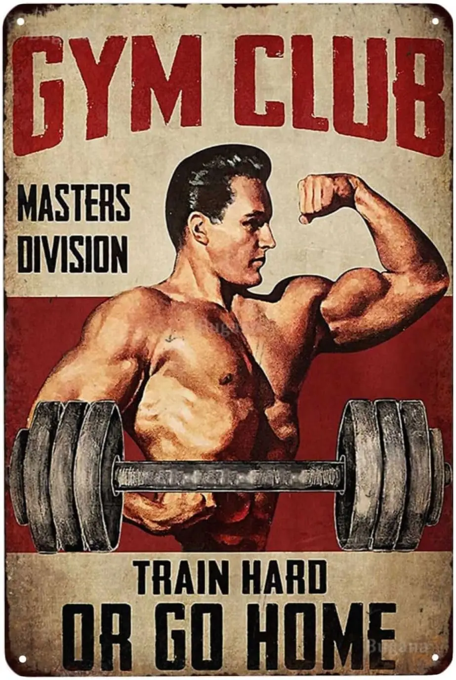Gym Club Division Train Hard or Go Home -2 Metal Sign Chic Vintage Tin Signs, Retro Rusty Traces Poster, Classic Designs, Stylis