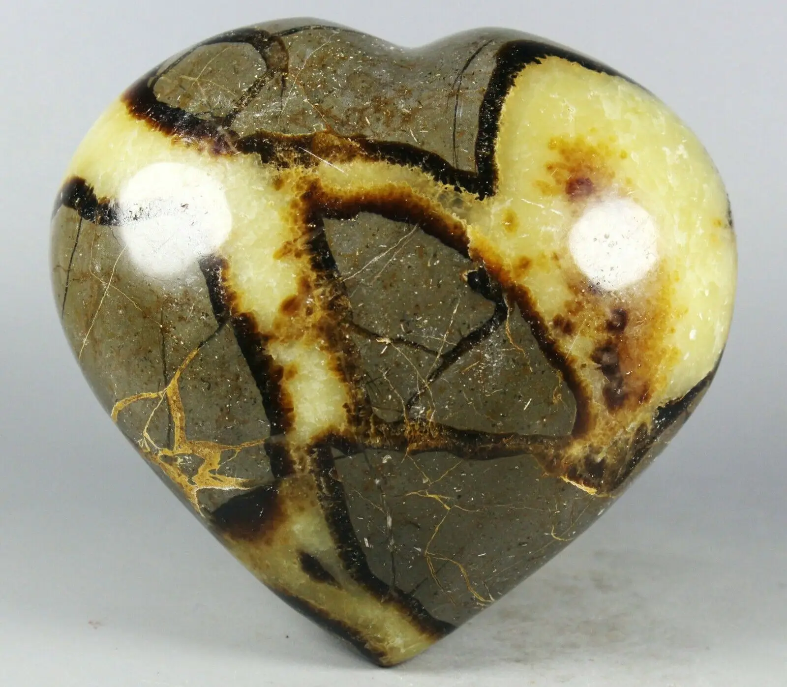 

Natural RARE POLISHED DRAGON SEPTARIAN HEART REIKI HEALING