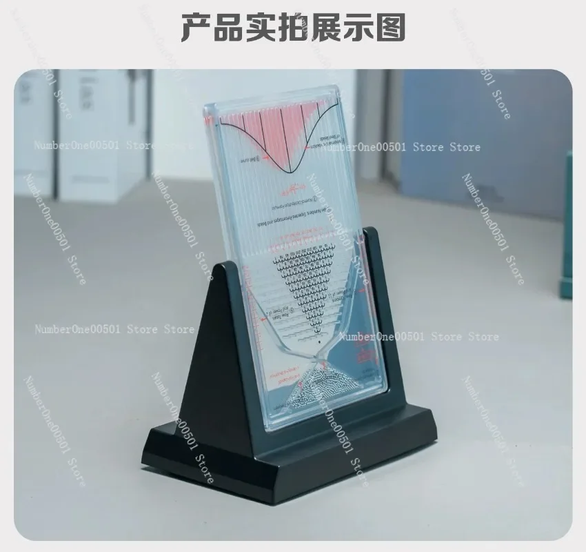 Board Normal Distribution Model Math Teaching Toy Desk Decor