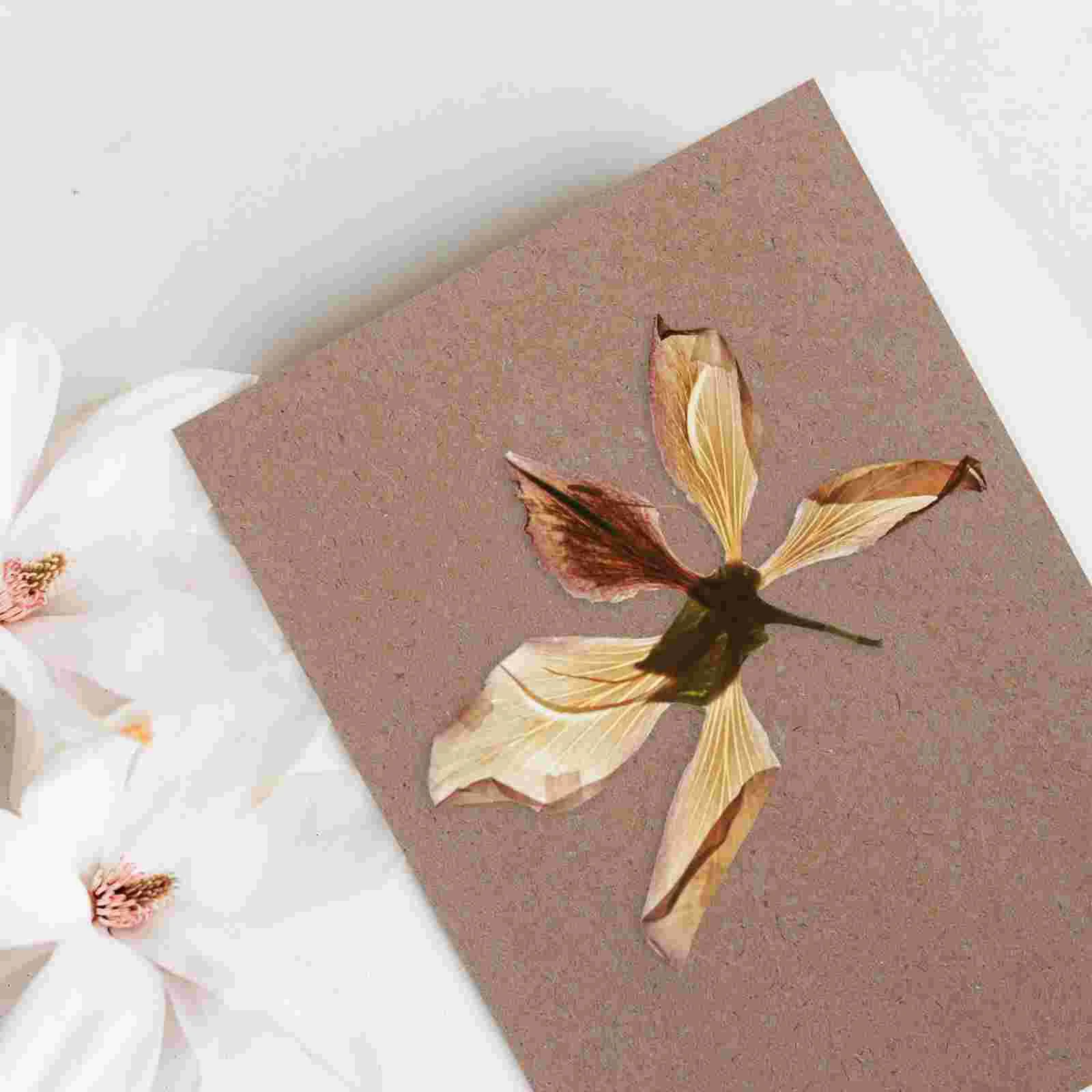 6 Sheets Embossed Paper Flower Press Boards Blotting for Plant Specimen Tool Plants Embossing Machine