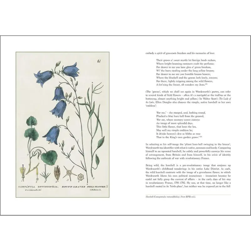 كلمات الكلمات الحدائق والزهور بيتر ديل براندون C ين Acc كتب فنية 9781851498956 كتاب #5