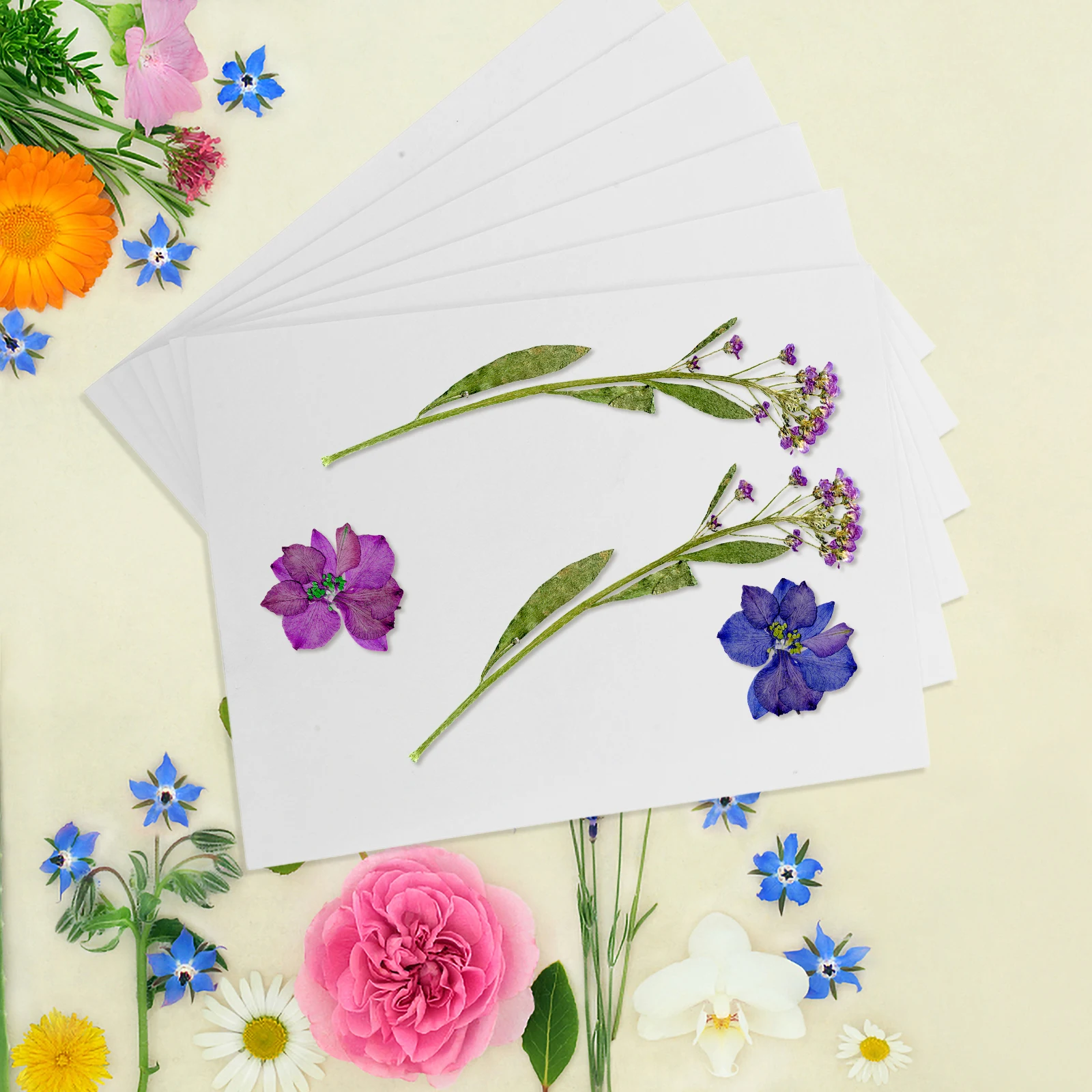 

6pcs Drying Sheets for Pressed Flowers Craft Blotting Paper Reusable Plant Drying Sheets Embossed Plate Decoupage Rice Paper