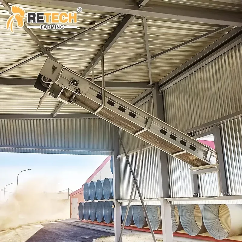 Automatic Broiler Cage Farming Equipment for Poultry Broiler Raising System with Manure Cleaning