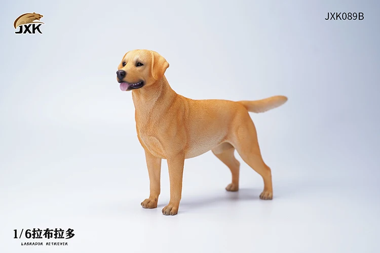 JXK089 1/6 Escala Resina Labrador Cão Pet Animal Bonito com Colete Modelo para 12 "Action Figure Decoração Cena Enfeites Acessórios