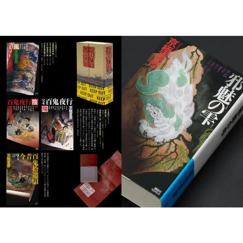 โลกของนัตสึฮิโกะ เคียวโกะกุ สนุกกับการออกแบบภาพ เคียวโกะกุ นัตสึฮิโกะ สมาคมซวนกวง 9784768316689 หนังสือ