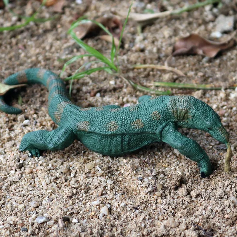 Oenux Neue Simulation Wilde Reptil Tiere Action-figuren Eidechse Modell Figuren Kinder Bildung Kognitive Szene Dekoration Spielzeug – Detail 23