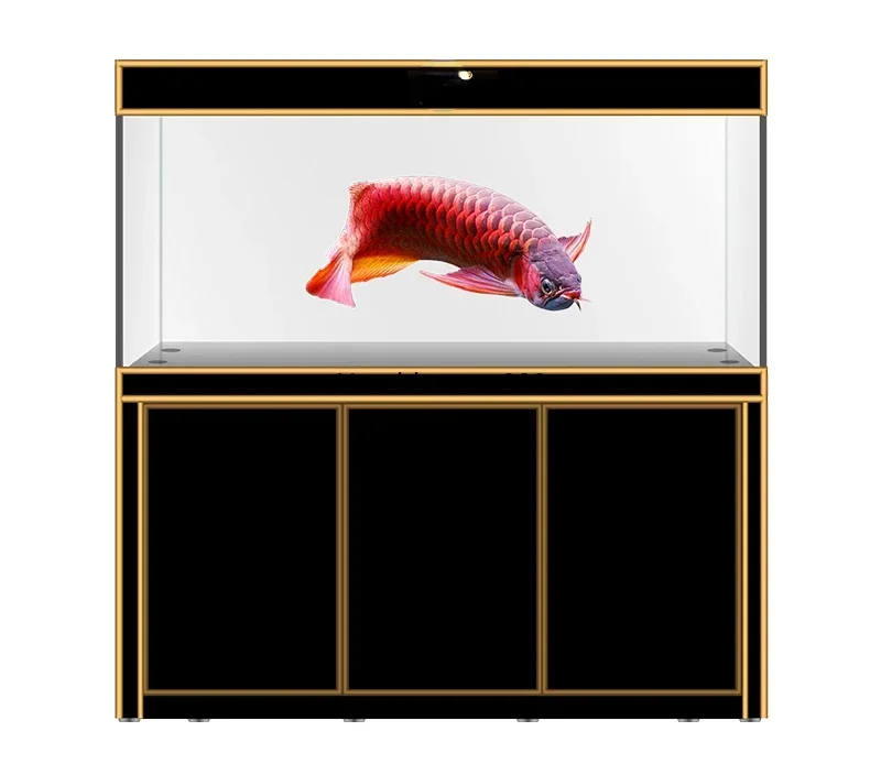 The new Julong Hall 4th generation Yulong Hall ultra-white glass living room Dalong fish tank