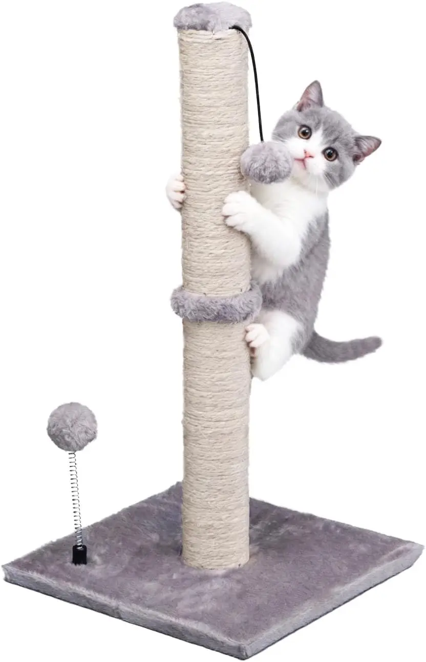 

Cat Scratching Post Premium Basics Kitten Scratcher Sisal Scratch Posts with Hanging Ball 22" for Kittens or Smaller Cat