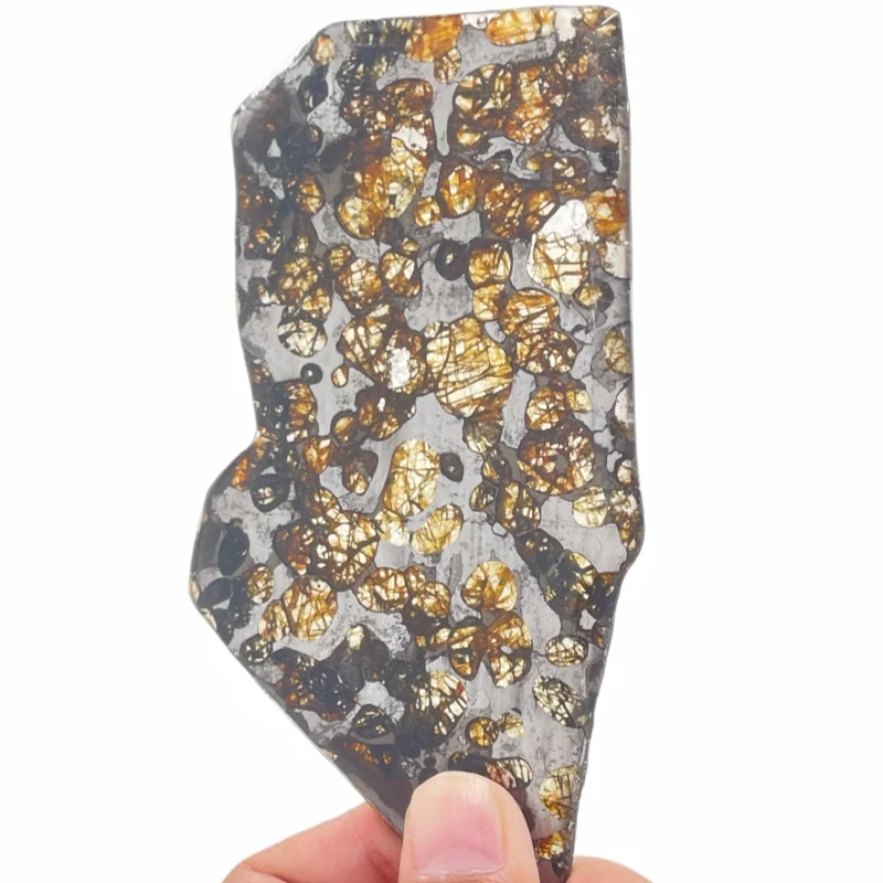 Seymchan Pallasite Meteorite Polished Irregular Slice Natural Olivine Inclusion Space Rock Display Specimen TA815